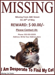Missing Pet Poster Template