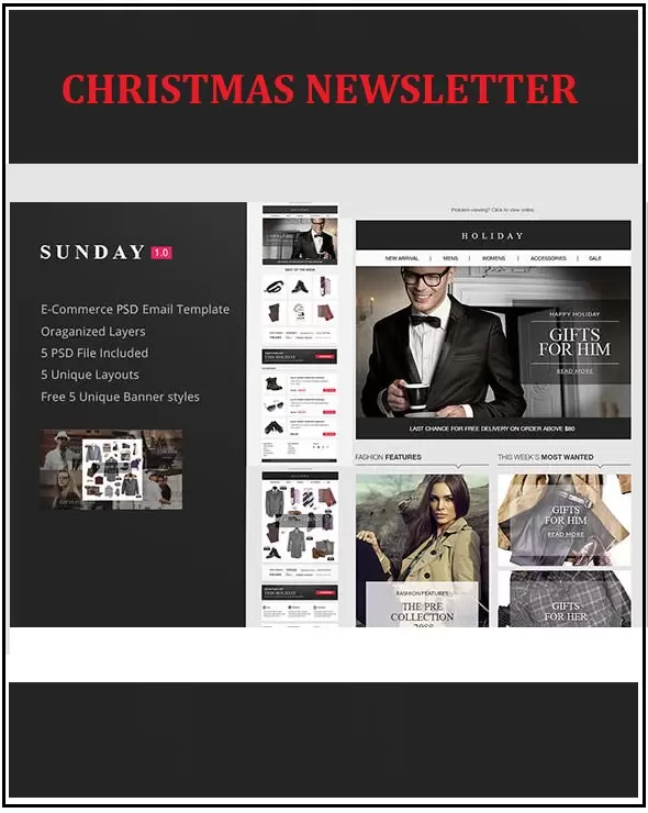Christmas Newsletter Template PSD